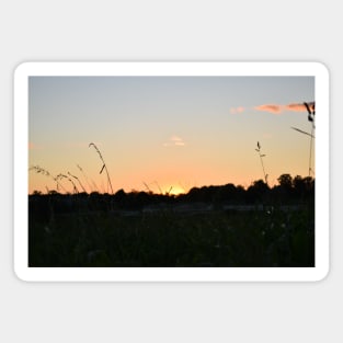 Sunset Through the Grass Magnet